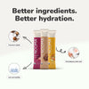 Variety Pack: Electrolyte Mixes